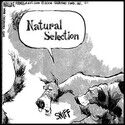 Natural Selection