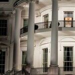 Deep State Sank Sanders and Handed Us Trump