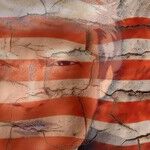 America's Getting Greater