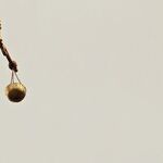 Justice's Unbalanced Scales