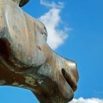 Election 2020's Trojan Horse