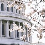 Dems' Rigged Jan. 6 Hearings Won't Halt Red Wave in November