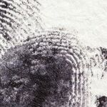 Cosby, Kavanaugh and the Necessity of Evidence
