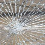 Enough Is Enough: It's Time to Take Back Our Streets From Criminals