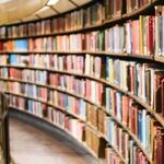 A Blueprint for Educational Excellence: Lessons from the Trailblazers