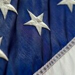 Emerging from the Shadows: The Struggle and Progress in America's Fight Against Poverty