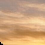 Pathways to Progress: Navigating America's Educational Reform