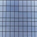 Consistency Matters: Moral Clarity Requires It