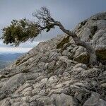 The Illusion of Strength: America's Fragile Economy