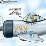 A.F. Branco for Nov 14, 2025