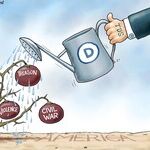 A.F. Branco for Nov 24, 2025