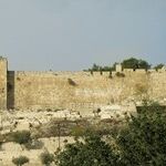 I Want a Wall Just Like Israel's