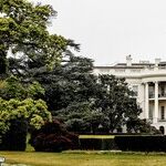 Democrats Are Between a Rock and a Hard Place. Here are Their Only Desperate, Hysterical, Panicked Options for Presidential Ticket 2024