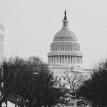 Understanding the Impeachment Charade