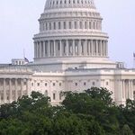 Patriots Do Not Storm Their Nation's Capitol