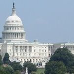 Republicans Should Use Their Brains a Little When Picking Candidates