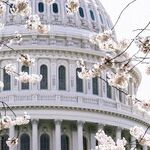 Starter Steps in Case Anyone in Washington Is Interested in Fixing Our Broken Political System