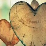 Knowing What Love Is Through God