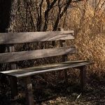 Grateful for Rest This Thanksgiving