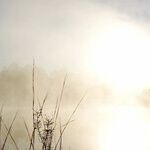 Reflections on National Prayer Day