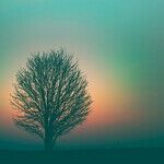 Americans' Lack of Faith Indicates Many Still Need Spiritual Assurance