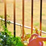 5 Top Tips for Tracking Growth