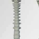 5 Top Tips to Prevent and Treat Pregnancy Back Pain