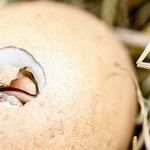 3 Tips for Recovering from the Birth
