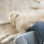4 Top Tips for Getting Support During Pregnancy