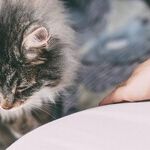 8 Top Tips for Preparing for Birth