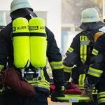 After Home Fire, Bathe Pet and Visit Veterinarian