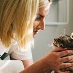 Thank Veterinarian for Great Care
