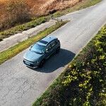Canine Carsickness: Common But Treatable