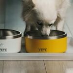 Scrub Pet's Food and Water Bowls Daily