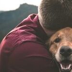 Dogs and Humans Don't Share Cold Viruses