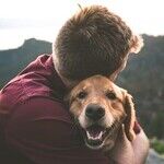 Dogs and Humans Don't Share Cold Viruses