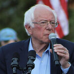 Lemming Complex: The Bernie Bros Demand That the Democrats Jump off a Cliff