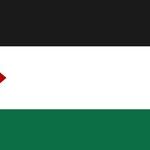 Art of the Self-Inflicted Wound: Pro-Palestinians Keep on Targeting Palestinians