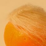 The Full Mussolini: The Proto-Fascist in Chief Goes for Broke