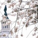 Tourist Visit: The GOP Keeps on Riding the Hogwash Express