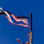National Zoo: Under MAGA's Gavel, There's Debasement in The House