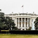 Married to the Mob: Democrats Can't Cater to the Fringe