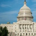 Baked Squad: Hard-Left Democrats May Be in for a Thinning