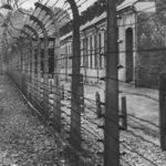Days of Memory: A Journalist's Quest to Document Evil and Courage