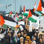 Backlash: America Cools on Crazy