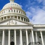 Gabbard Jabber: Our -- Gulp! -- Head of National Intelligence Just Says Anything