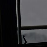 Gone Dark: When It Comes to Iran's Massacres, Israel's Haters Couldn't Care Less