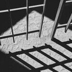 Uncommon Criminal: The Perp Walk President Protected from Prison