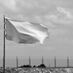 Shambles: America Surrenders, Unconditionally