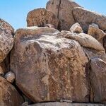 Over a Barrel: Iran Has Us Between a Rock and a Hard Place